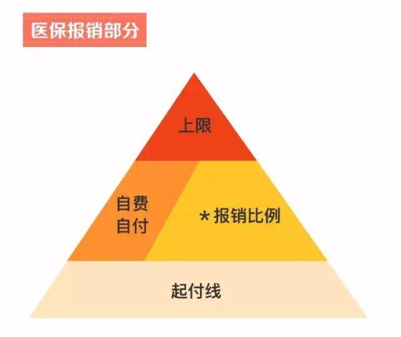 医保报销